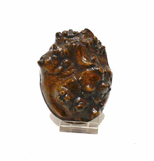 ANTIQUE EARLY TREEN 19THC BURR ASH ROOT SNUFF BOX WITH COLLECTORS LABEL SCOTTISH C182040 - ADDITIONAL PHOTO 1