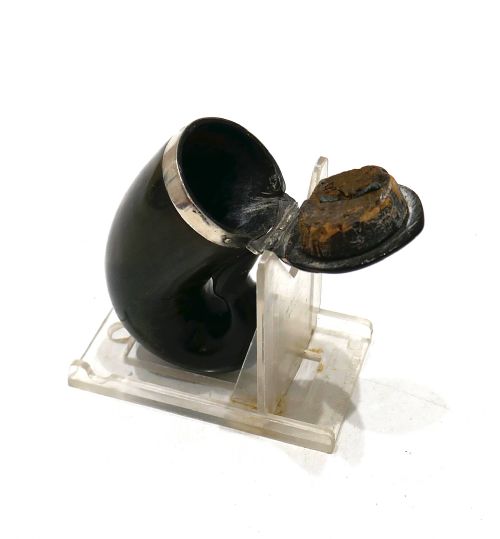 ANTIQUE COLLECTABLES 19THC RAMS HORN SNUFF MULL WITH SILVER MOUNTS ENGRAVED DB 1812 - ADDITIONAL PHOTO 2