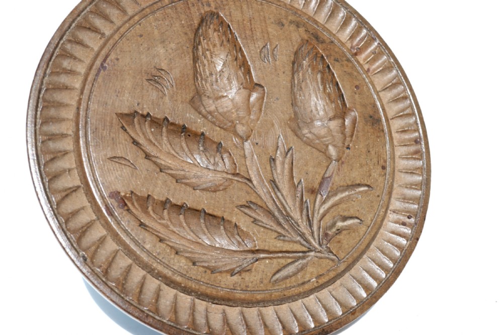Antique 19thc Treen Sycamore Acorn Butter Pat.     English C1840-60 View IV