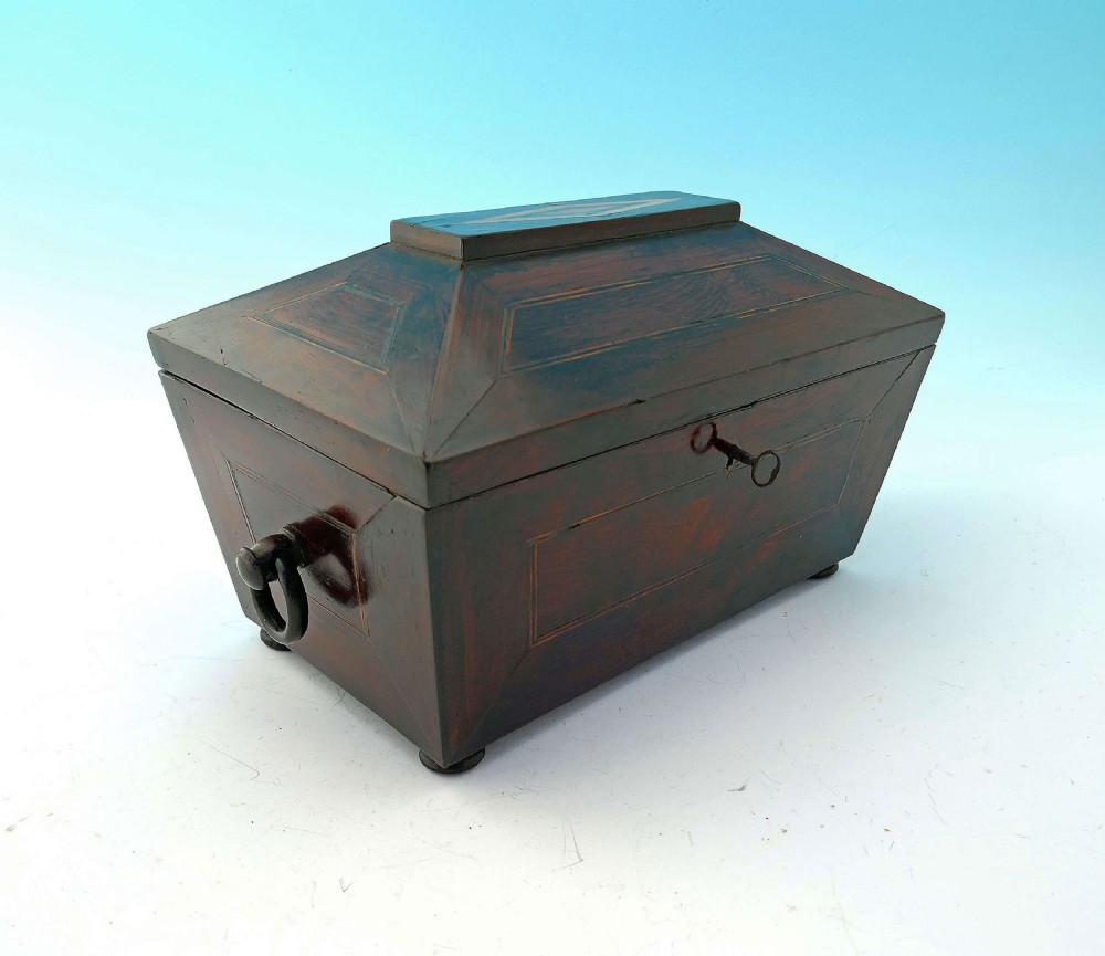 Early 19thc Regency Rosewood Tea Caddy Inlaid With Boxwood & Fruitwood .   English C1800-20.