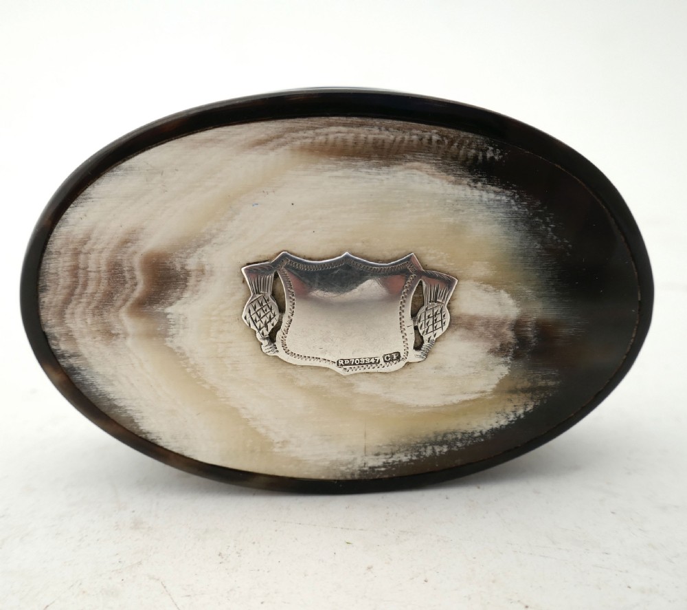 Antique 19thc Oval Horn Snuff Box With Silver Cartouche Of Thistles.  Scottish C1840-60. View II