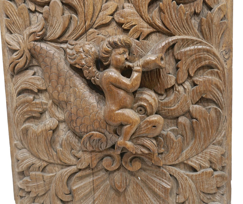 A 17th-century rectangular carved oak relief panel depicting a winged cherub sitting on a dolphin, surrounded by leaf scrolls and a scallop shell. View II
