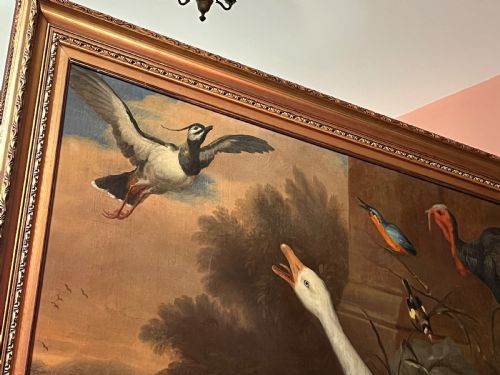 ANTIQUE OIL PAINTING OF BIRDS POSSIBLY BY MARMADUKE CRADOCK C16601717 OLD MASTER ANIMAL PAINTING OIL PAINTING OF ANIMALS EXOTIC BIRDS DUTCH AND FLEMISH STYLE AND INFLUENCED ALSO POSSIBLY BY JACOB BOGDANI ANGLOHUNGARIAN 16581724 - ADDITIONAL PHOTO 4