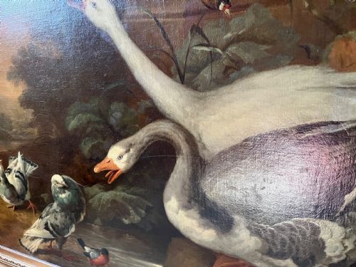 ANTIQUE OIL PAINTING OF BIRDS POSSIBLY BY MARMADUKE CRADOCK C16601717 OLD MASTER ANIMAL PAINTING OIL PAINTING OF ANIMALS EXOTIC BIRDS DUTCH AND FLEMISH STYLE AND INFLUENCED ALSO POSSIBLY BY JACOB BOGDANI ANGLOHUNGARIAN 16581724 - ADDITIONAL PHOTO 6