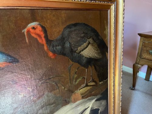 ANTIQUE OIL PAINTING OF BIRDS POSSIBLY BY MARMADUKE CRADOCK C16601717 OLD MASTER ANIMAL PAINTING OIL PAINTING OF ANIMALS EXOTIC BIRDS DUTCH AND FLEMISH STYLE AND INFLUENCED ALSO POSSIBLY BY JACOB BOGDANI ANGLOHUNGARIAN 16581724 - ADDITIONAL PHOTO 8