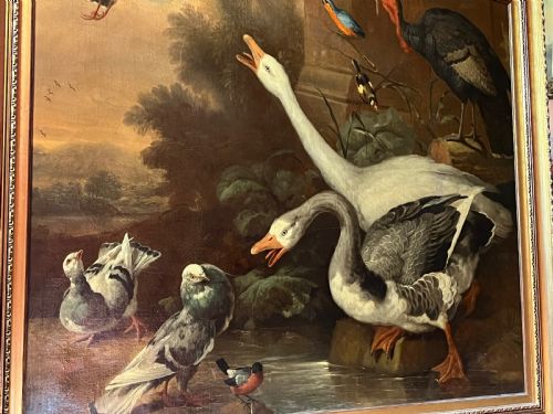 ANTIQUE OIL PAINTING OF BIRDS POSSIBLY BY MARMADUKE CRADOCK C16601717 OLD MASTER ANIMAL PAINTING OIL PAINTING OF ANIMALS EXOTIC BIRDS DUTCH AND FLEMISH STYLE AND INFLUENCED ALSO POSSIBLY BY JACOB BOGDANI ANGLOHUNGARIAN 16581724 - ADDITIONAL PHOTO 3