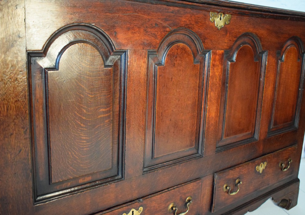 A dark oak antique mule chest featuring four arched fielded panels, two lower drawers with brass drop handles, and bracket feet. View II