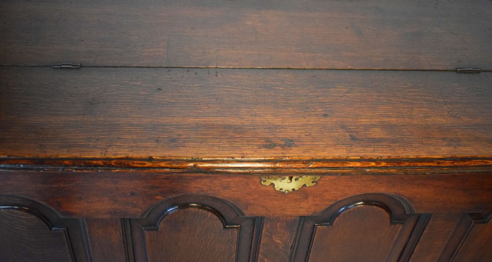 A dark oak antique mule chest featuring four arched fielded panels, two lower drawers with brass drop handles, and bracket feet. View III