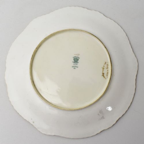 FINE AND RARE COALPORT PLATE PAINTED BY TOM KEELING CIRCA 1901 - ADDITIONAL PHOTO 7