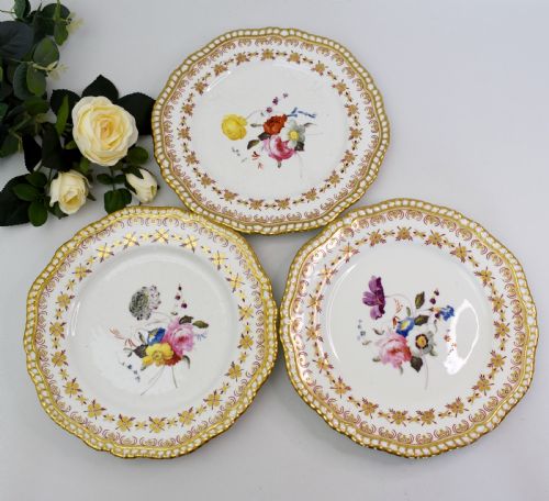 EARLY 19TH CENTURY SPODE BOTANICAL DESSERT SERVICE FOR 12 FELSPAR PORCELAIN - ADDITIONAL PHOTO 17