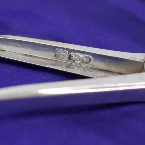 ANTIQUE WILLIAM IV SILVER GRAPE SCISSORS CHARLES REILY GEORGE STORER LONDON 1834 - ADDITIONAL PHOTO 5