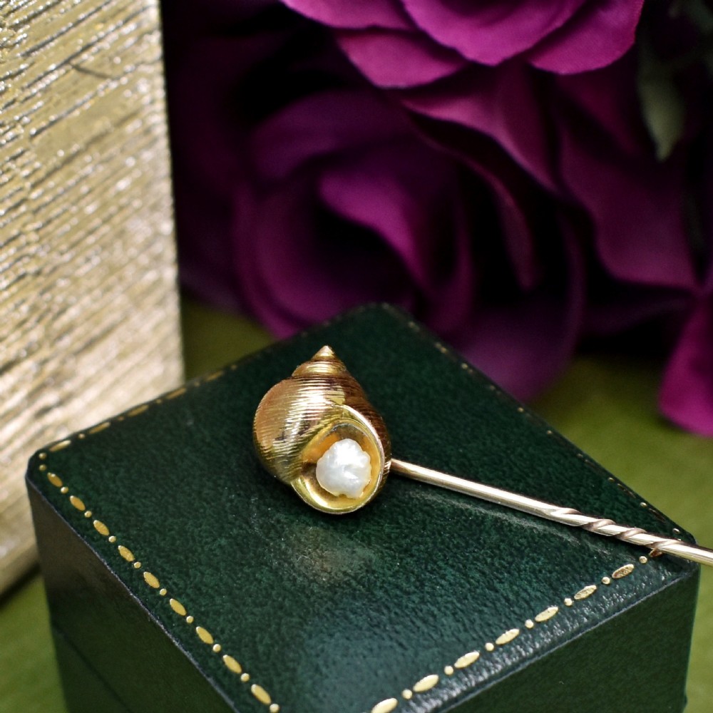 An Edwardian yellow gold stick pin featuring a textured shell casing enclosing a natural baroque pearl.