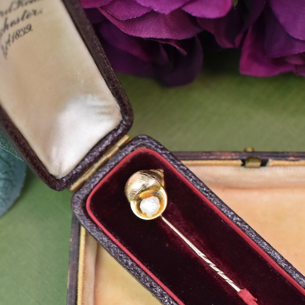 An Edwardian yellow gold stick pin featuring a textured shell casing enclosing a natural baroque pearl. View II