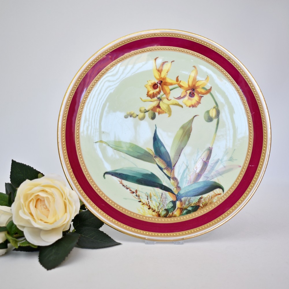 A circular Victorian porcelain tazza featuring a hand-painted yellow orchid illustration framed by a magenta border and beaded gilt rims.