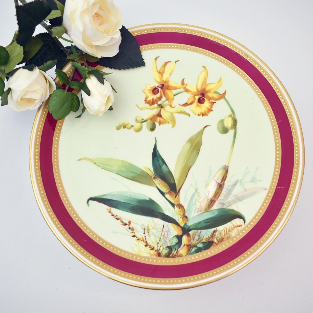 A circular Victorian porcelain tazza featuring a hand-painted yellow orchid illustration framed by a magenta border and beaded gilt rims. View III