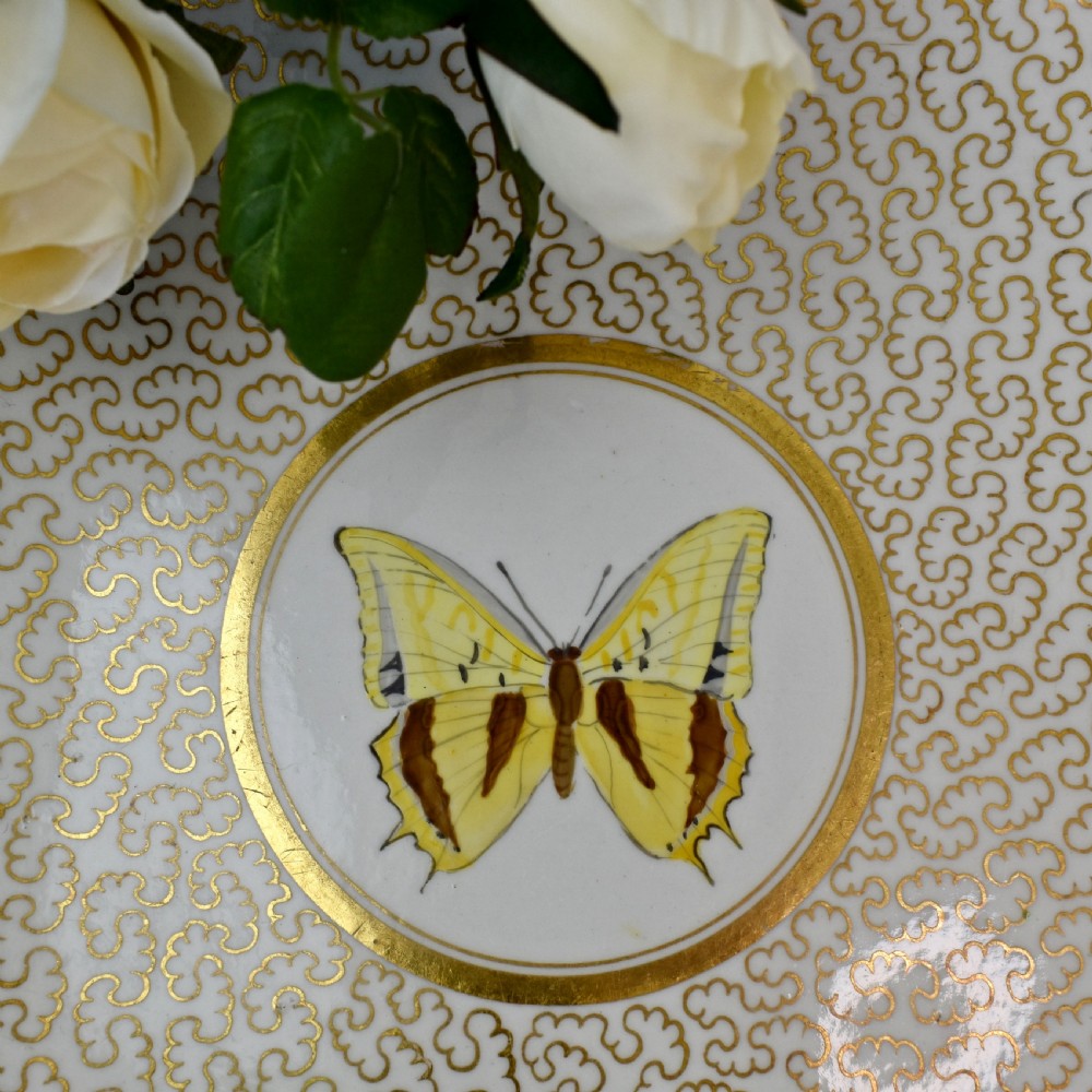 A square lobed white porcelain dish decorated with intricate gold scrollwork around a central hand-painted yellow butterfly medallion. View II