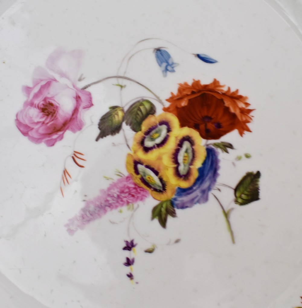 Early 19th Century Spode Botanical Dessert Service for 12, Felspar Porcelain View XXII