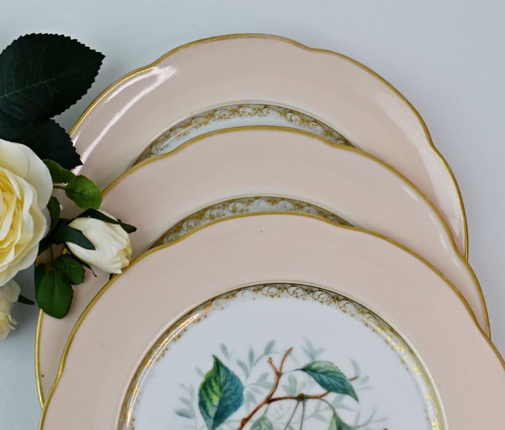 A set of four circular Russian porcelain plates decorated with hand-painted botanical fruit motifs, blush pink borders, and scalloped gilded rims. View XVII