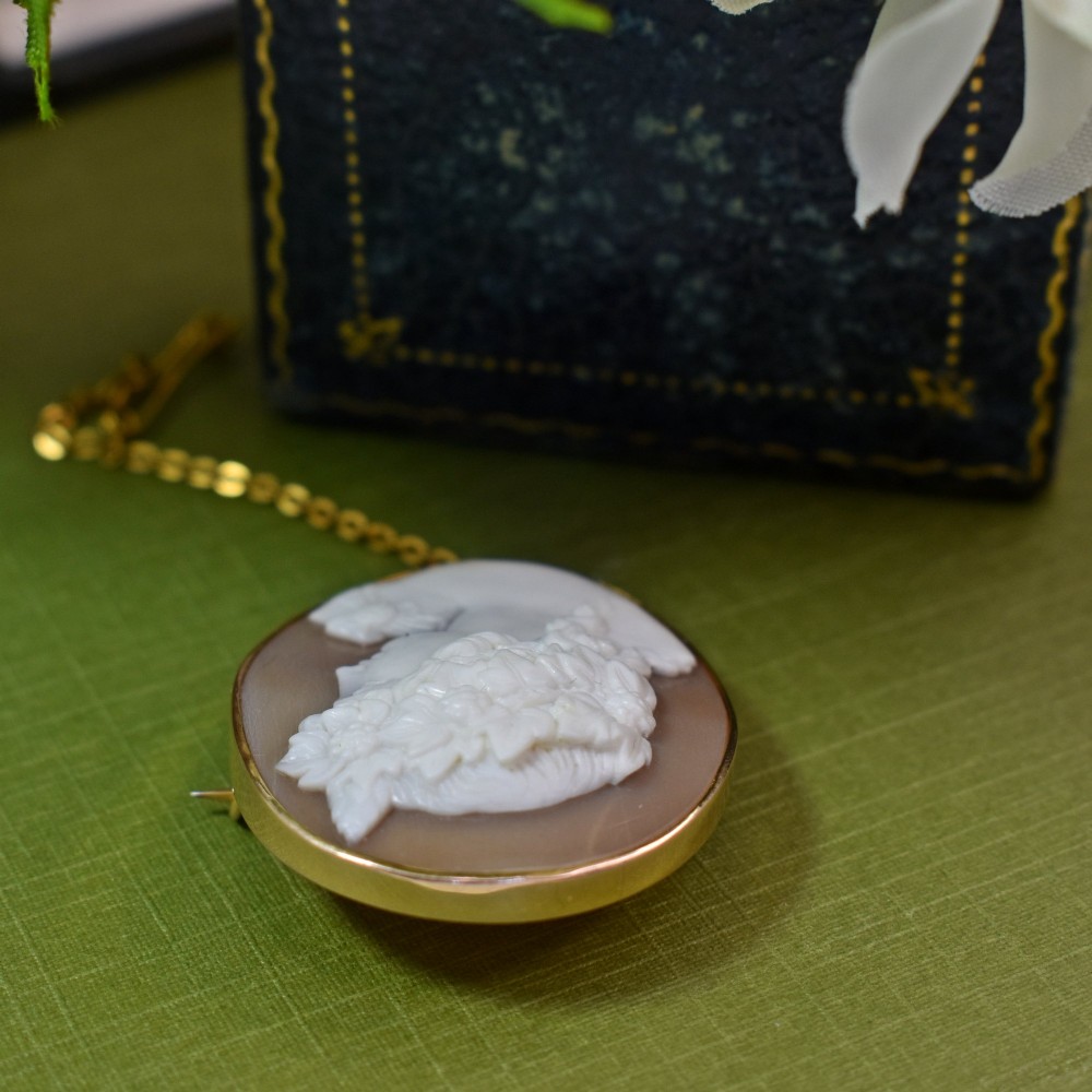 An oval Victorian shell cameo brooch depicting a relief profile carving of Antinous adorned with a floral wreath, set in a gold frame. View VI