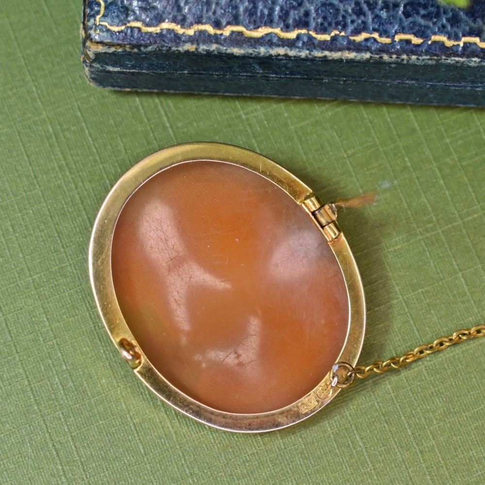 An oval Victorian shell cameo brooch depicting a relief profile carving of Antinous adorned with a floral wreath, set in a gold frame. View X