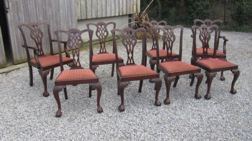 a wonderful set of 8 chippendale dining chairs - CATEGORY: ANTIQUE CHAIRS - DATED 1890