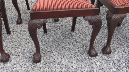 A WONDERFUL SET OF 8 CHIPPENDALE DINING CHAIRS - ADDITIONAL PHOTO 4