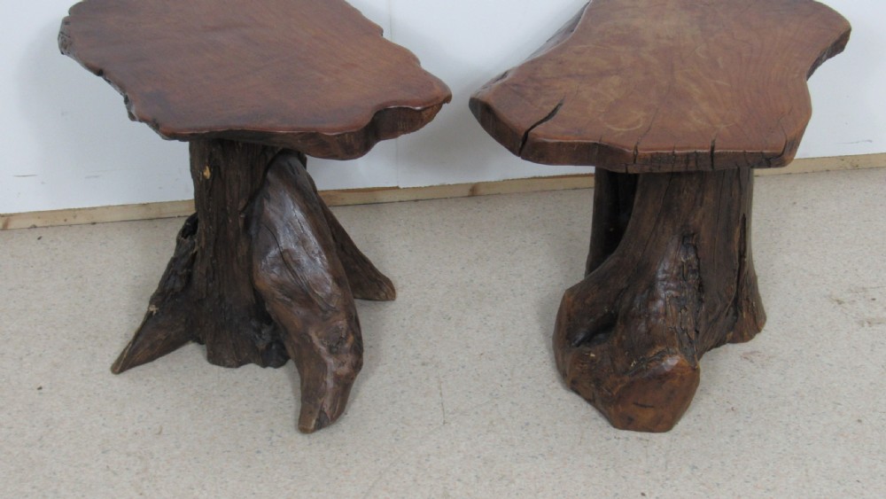 Unusual and rare pair of tree occasional tables View XII
