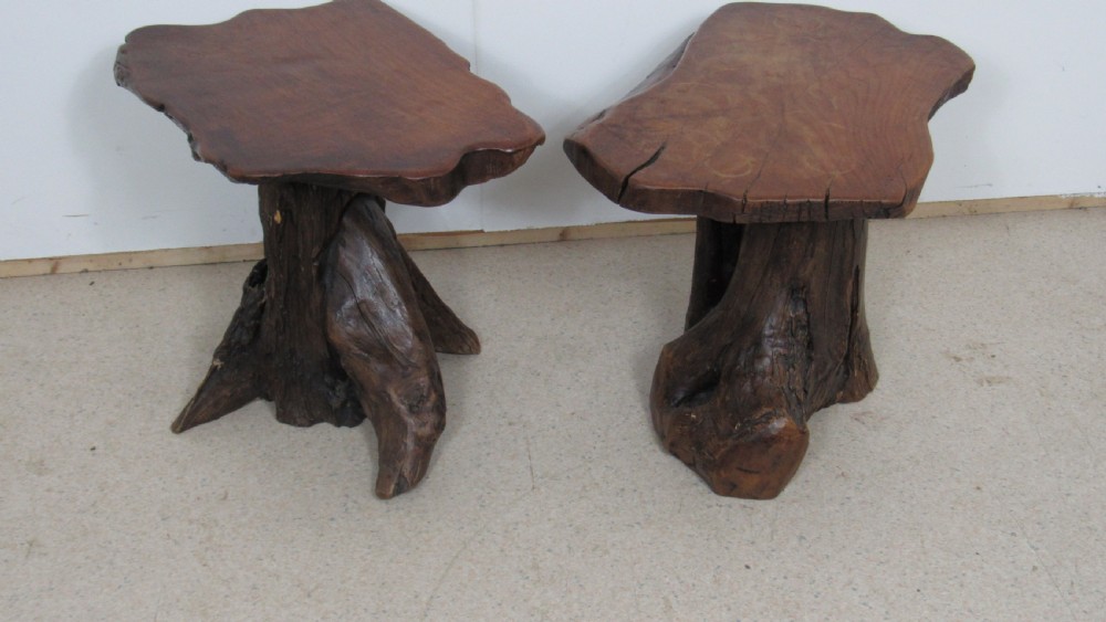 Unusual and rare pair of tree occasional tables View XIV