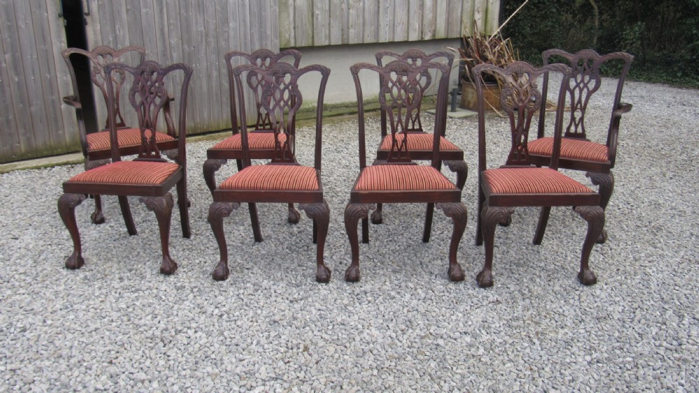 A wonderful set of 8 Chippendale dining chairs View III