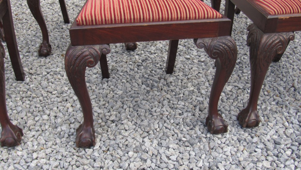 A wonderful set of 8 Chippendale dining chairs View V