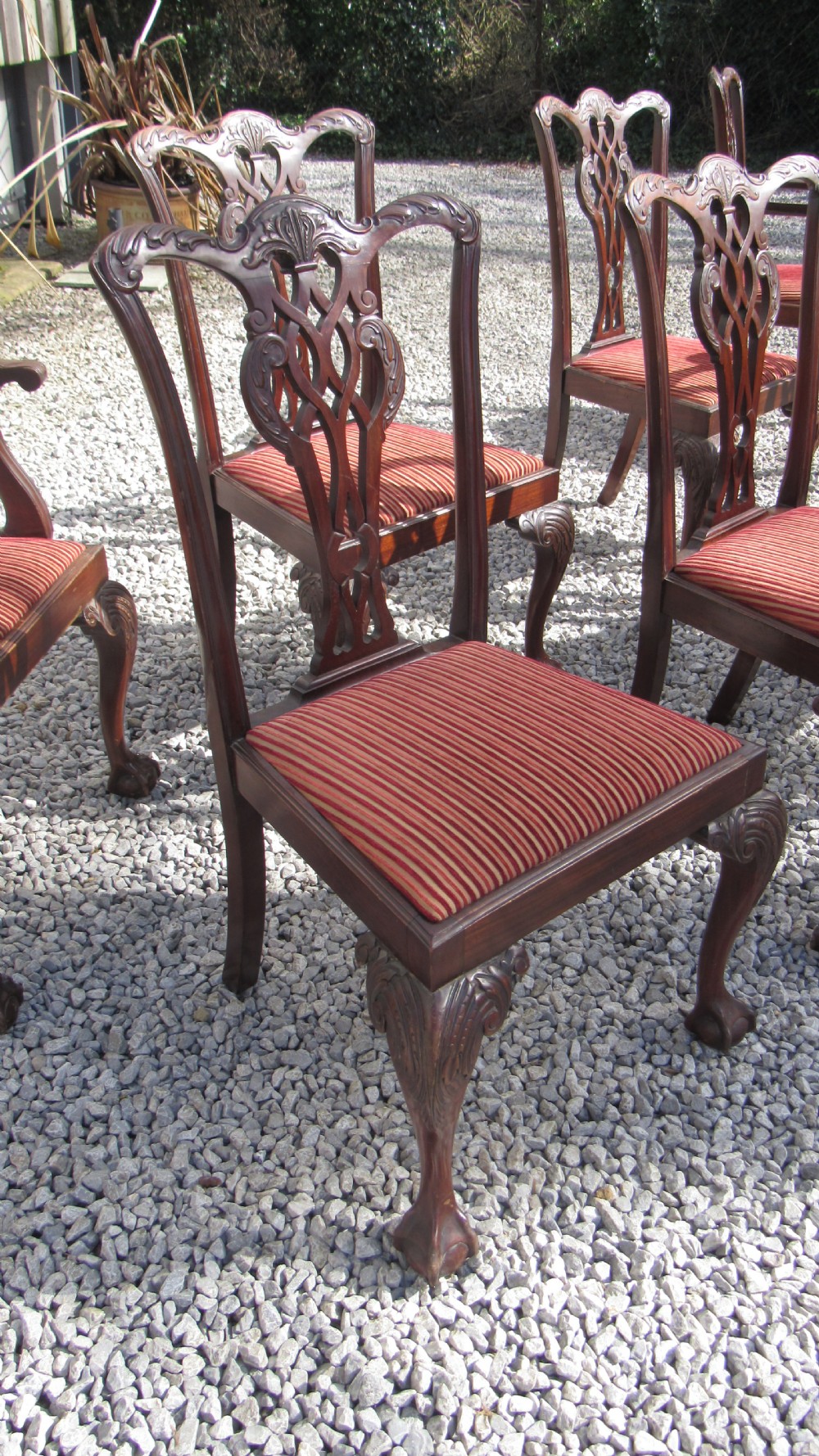 A wonderful set of 8 Chippendale dining chairs View XV
