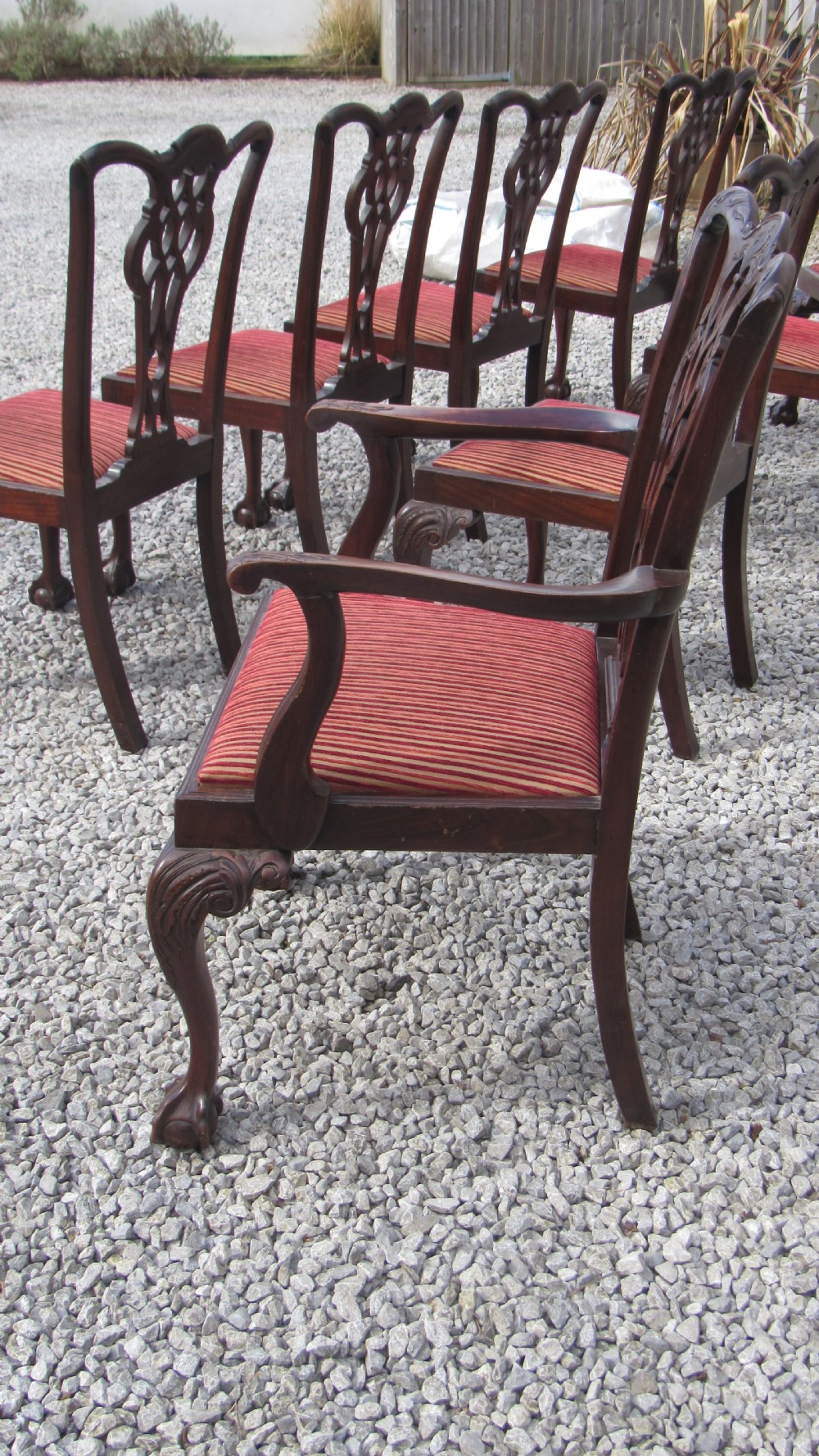 A wonderful set of 8 Chippendale dining chairs View XXII