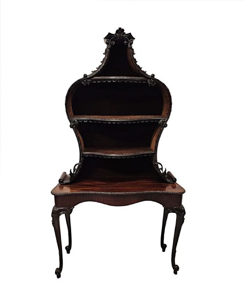 A VERY RARE AND FINE UNUSUAL 19TH CENTURY PAIR OF MAHOGANY BOOKCASES OR DISPLAY CASES - ADDITIONAL PHOTO 1