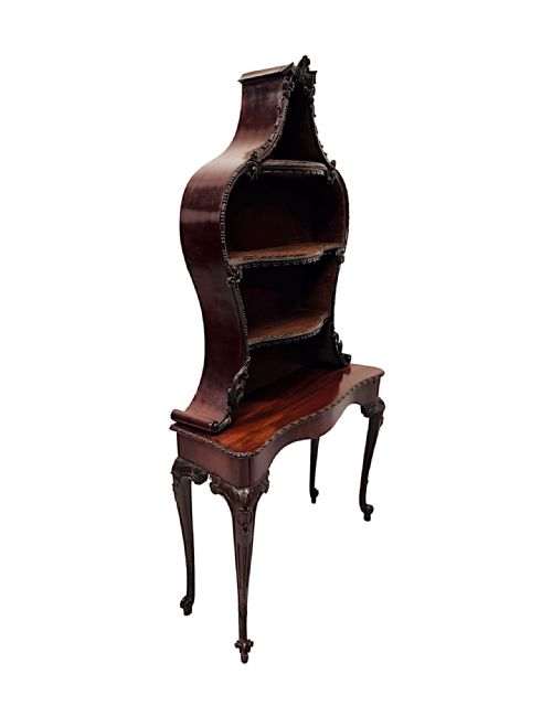 A VERY RARE AND FINE UNUSUAL 19TH CENTURY PAIR OF MAHOGANY BOOKCASES OR DISPLAY CASES - ADDITIONAL PHOTO 2