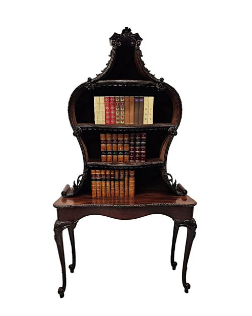 A VERY RARE AND FINE UNUSUAL 19TH CENTURY PAIR OF MAHOGANY BOOKCASES OR DISPLAY CASES - ADDITIONAL PHOTO 3
