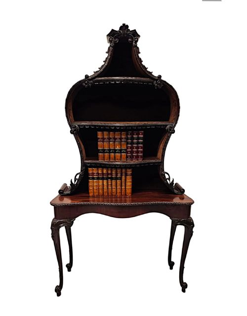 A VERY RARE AND FINE UNUSUAL 19TH CENTURY PAIR OF MAHOGANY BOOKCASES OR DISPLAY CASES - ADDITIONAL PHOTO 4