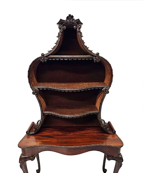 A VERY RARE AND FINE UNUSUAL 19TH CENTURY PAIR OF MAHOGANY BOOKCASES OR DISPLAY CASES - ADDITIONAL PHOTO 5