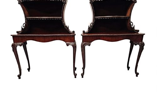 A VERY RARE AND FINE UNUSUAL 19TH CENTURY PAIR OF MAHOGANY BOOKCASES OR DISPLAY CASES - ADDITIONAL PHOTO 6