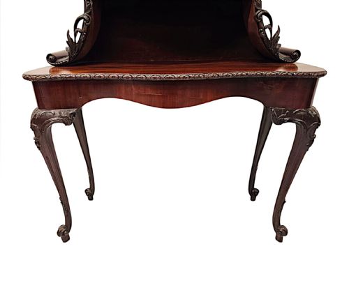 A VERY RARE AND FINE UNUSUAL 19TH CENTURY PAIR OF MAHOGANY BOOKCASES OR DISPLAY CASES - ADDITIONAL PHOTO 7
