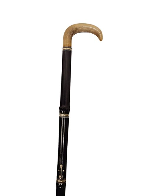 A VERY RARE 19TH CENTURY TIMBER FLUTE WALKING STICK WITH HORN HANDLE - ADDITIONAL PHOTO 1