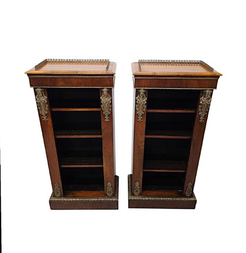 A VERY RARE PAIR OF 19TH CENTURY BOOKCASES WITH ORMOLU MOUNTS - ADDITIONAL PHOTO 1