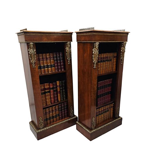 A VERY RARE PAIR OF 19TH CENTURY BOOKCASES WITH ORMOLU MOUNTS - ADDITIONAL PHOTO 2