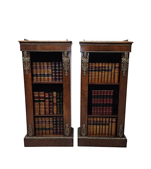 A VERY RARE PAIR OF 19TH CENTURY BOOKCASES WITH ORMOLU MOUNTS - ADDITIONAL PHOTO 3