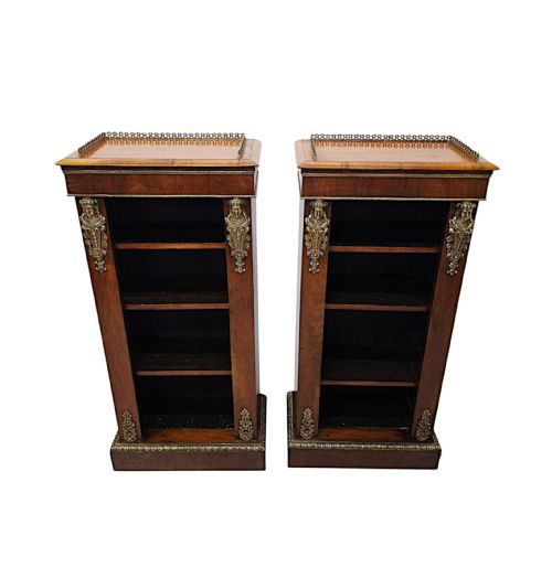A VERY RARE PAIR OF 19TH CENTURY BOOKCASES WITH ORMOLU MOUNTS - ADDITIONAL PHOTO 4