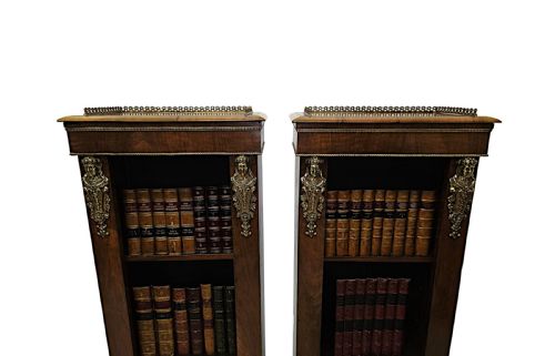 A VERY RARE PAIR OF 19TH CENTURY BOOKCASES WITH ORMOLU MOUNTS - ADDITIONAL PHOTO 5