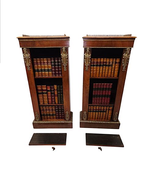 A VERY RARE PAIR OF 19TH CENTURY BOOKCASES WITH ORMOLU MOUNTS - ADDITIONAL PHOTO 7