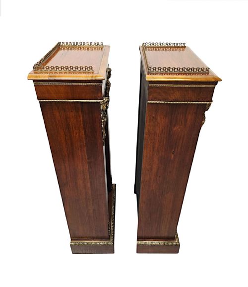 A VERY RARE PAIR OF 19TH CENTURY BOOKCASES WITH ORMOLU MOUNTS - ADDITIONAL PHOTO 8