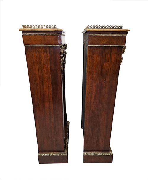 A VERY RARE PAIR OF 19TH CENTURY BOOKCASES WITH ORMOLU MOUNTS - ADDITIONAL PHOTO 9