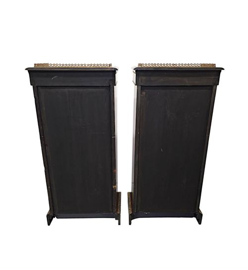 A VERY RARE PAIR OF 19TH CENTURY BOOKCASES WITH ORMOLU MOUNTS - ADDITIONAL PHOTO 10
