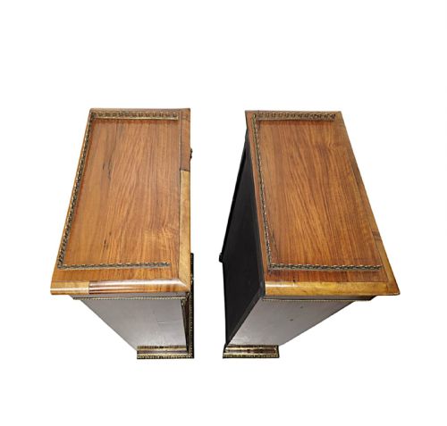 A VERY RARE PAIR OF 19TH CENTURY BOOKCASES WITH ORMOLU MOUNTS - ADDITIONAL PHOTO 11
